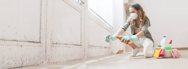 Why You Should Choose Our Mold Remediation Services in Moriarty, NM